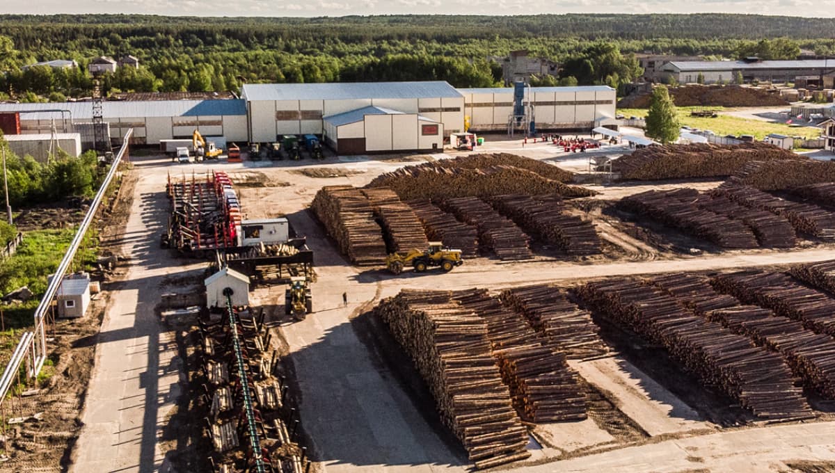 logs laying near factory